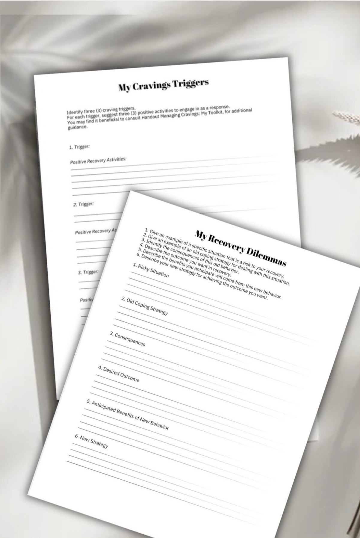 Addiction Roadmap to Recovery Relapse Support Workbook Family Support