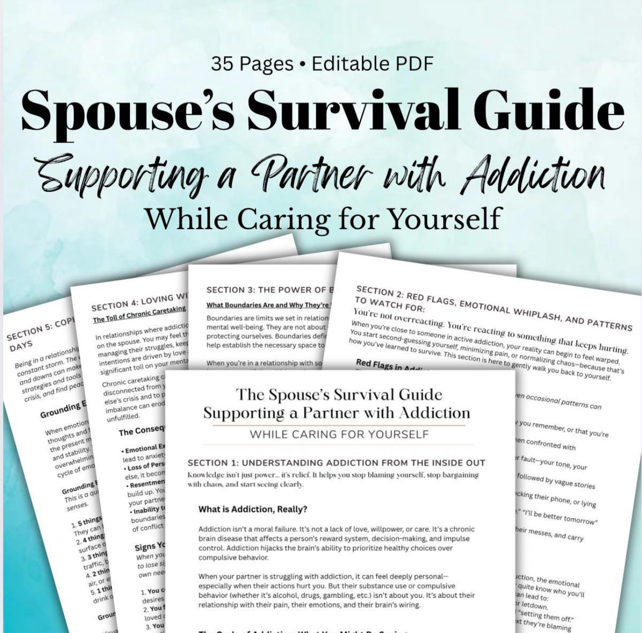 Spouse of an Addict Support Workbook Partner Addiction Recovery
