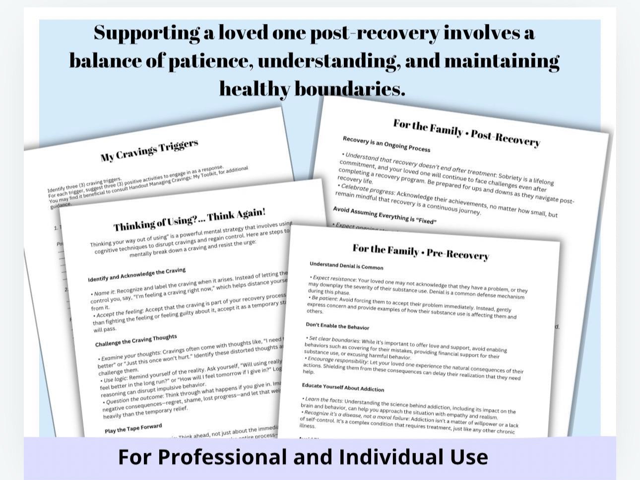 Addiction Roadmap to Recovery Relapse Support Workbook Family Support