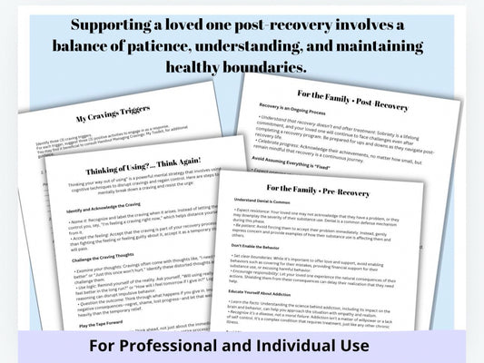 Addiction Roadmap to Recovery Relapse Support Workbook Family Support